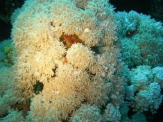 80571
