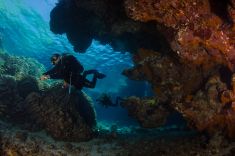 1730517