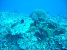 91049